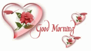 a8cb15f70cb17961f392ec06408fda1a.gif