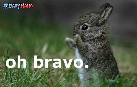 ohhh_bravo.jpg