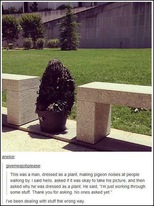 plant-costume-therapy.jpg