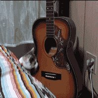 rARqXW4.gif