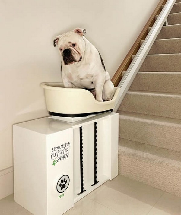 elevators_for_obese_dogs04.jpeg