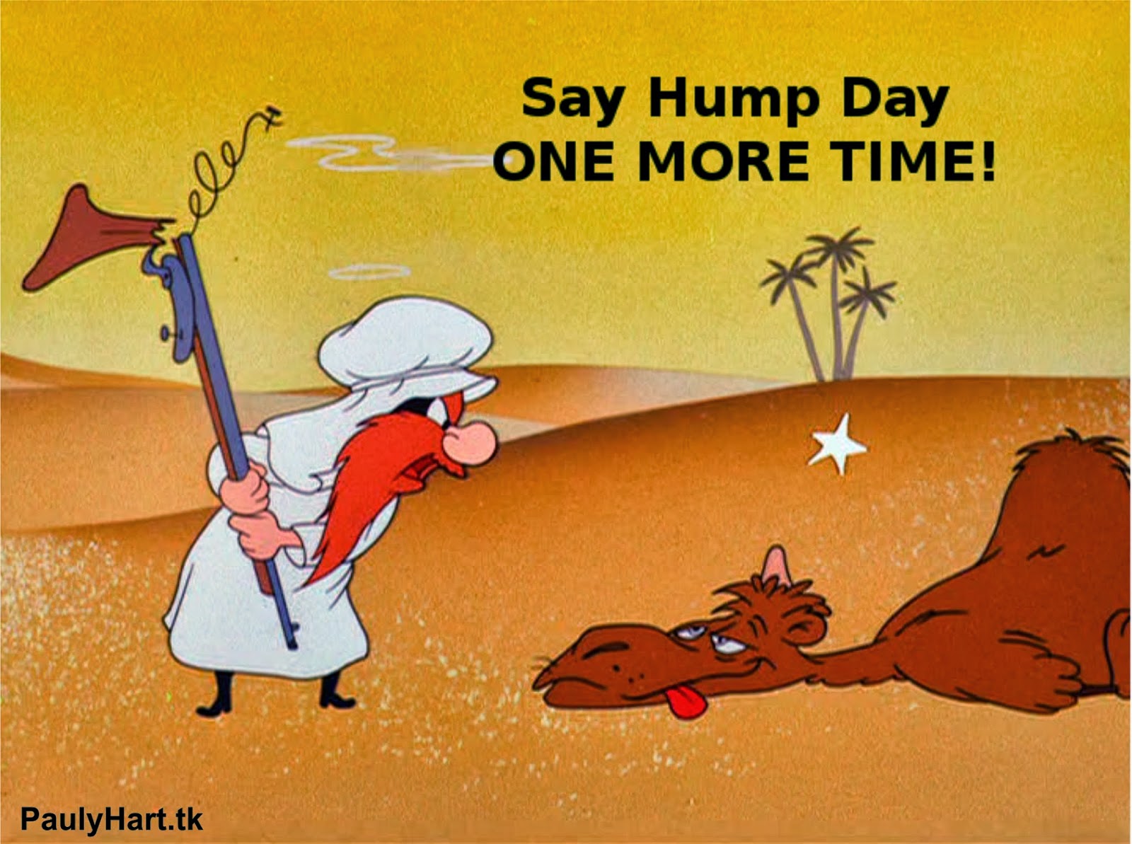hump%2Bday.jpg