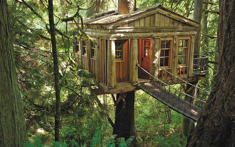 03-23-14-treehouse-ftr-800x500.jpg