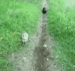 tu4EJb1.gif