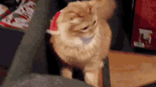30Jb.gif