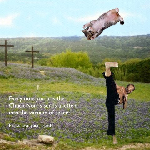 chucknorris.0.jpg