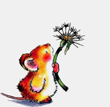 mouse.gif