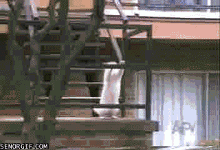cat-in-awkward-position