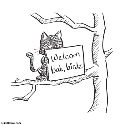344-welcome-party.jpg