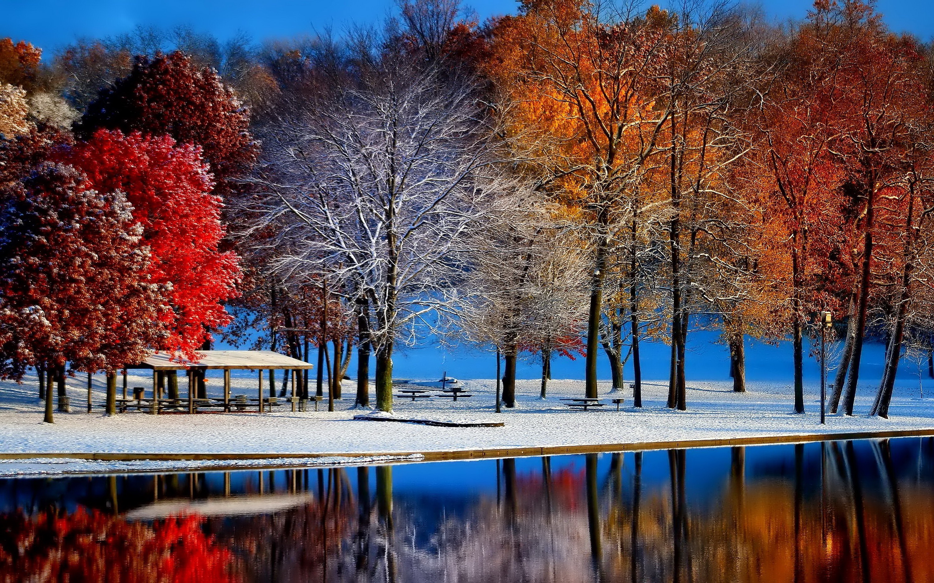 Autumn-with-winter.jpg