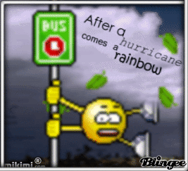 735804256_782027.gif