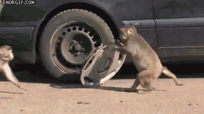 afc2f20b8f876a1b758c0b03bfef002d.gif
