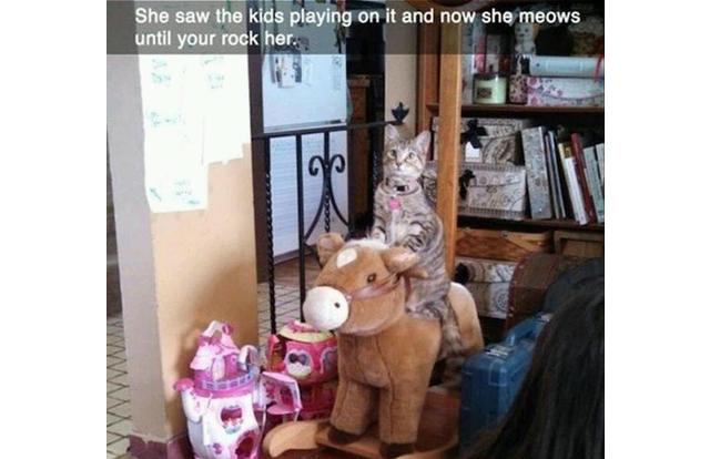 DOE1KM5N0AA6ITJ7-cp0x78x736x757-fram640x414x640x414xxxx