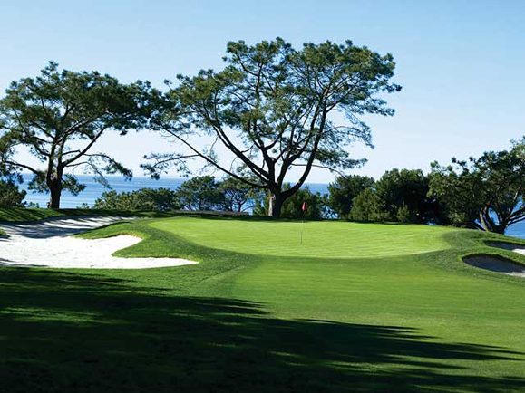 14_5_torrey_pine06.jpg