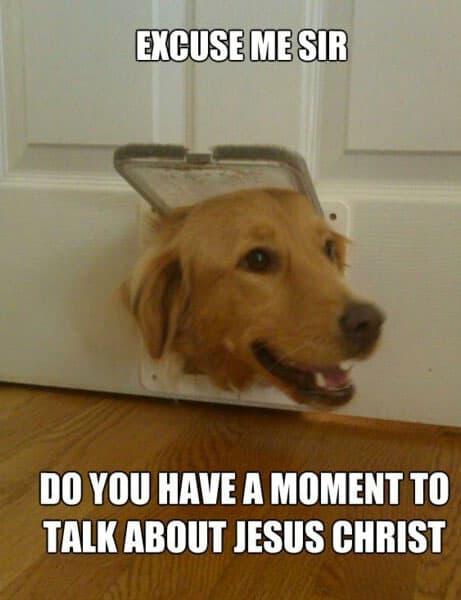 dog-jesus-memes.jpg