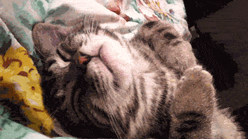 1Z9ctvL.gif