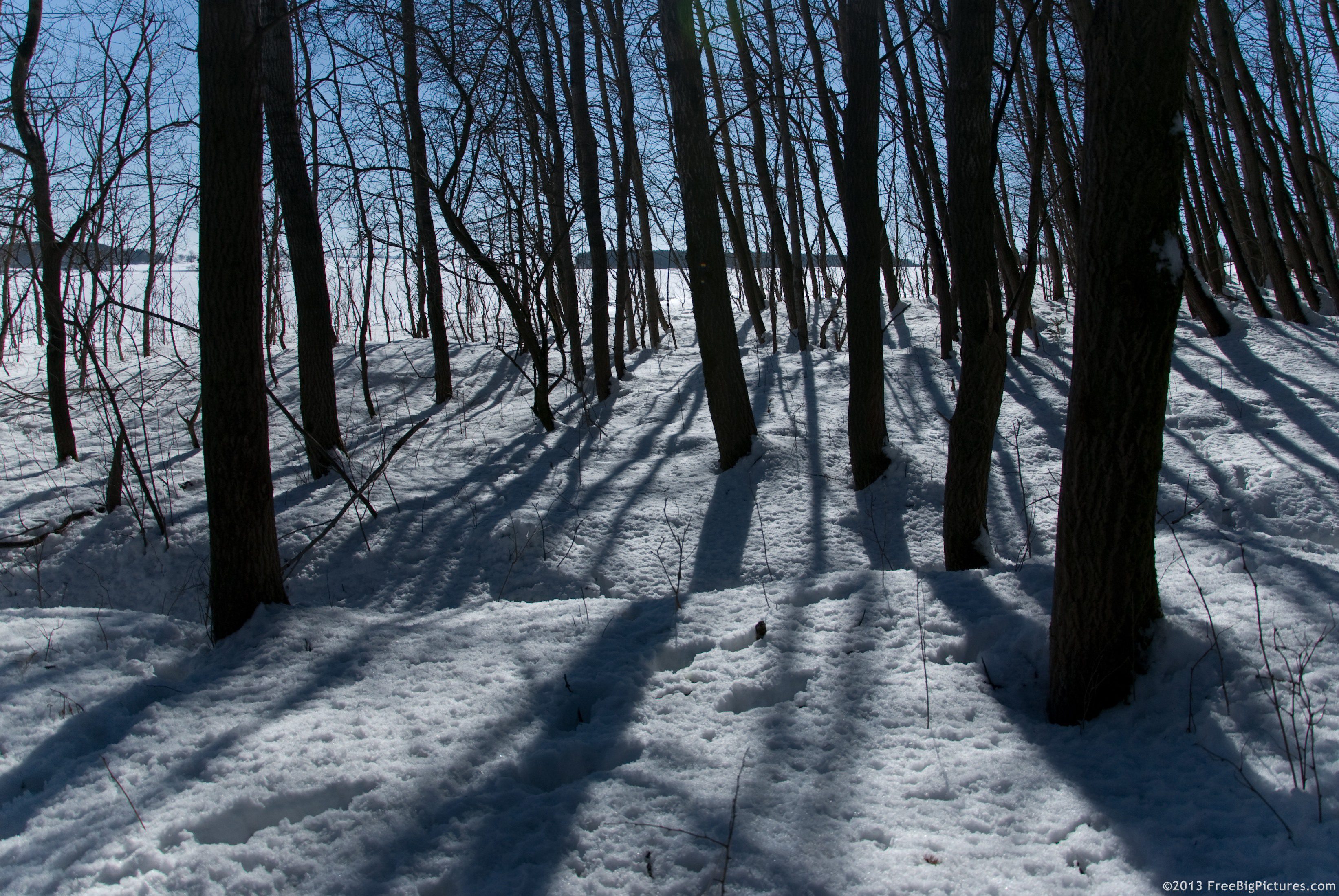 shadows-on-snow.jpg