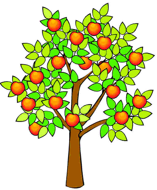 realistic-apple-tree-drawing-aTqeozg8c.jpeg