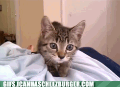 ready-ready-attack