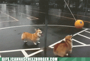 yay-tetherball