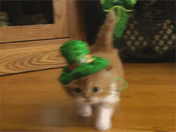saint-catrick.gif