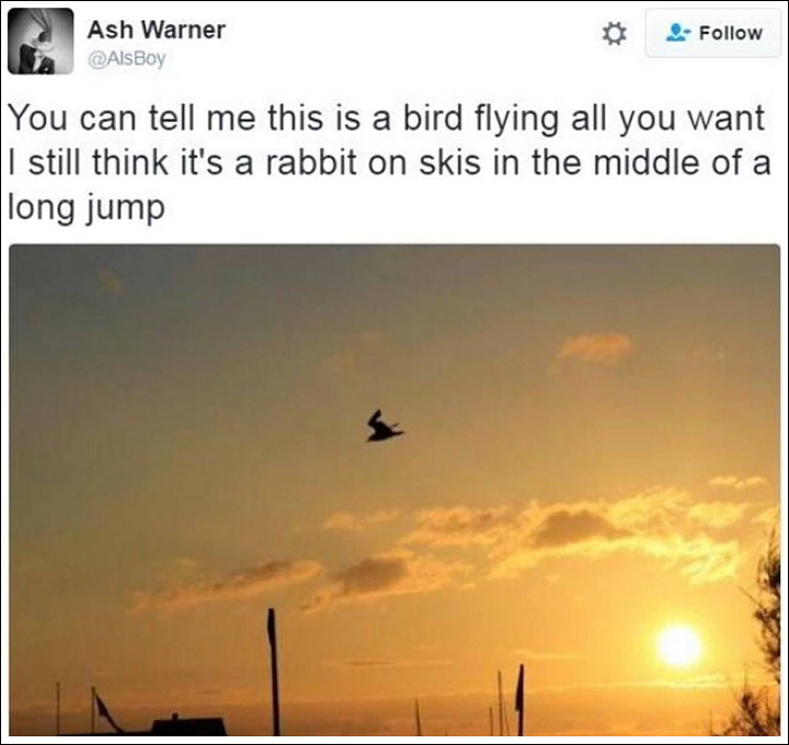 ski-jump-rabbit.jpg