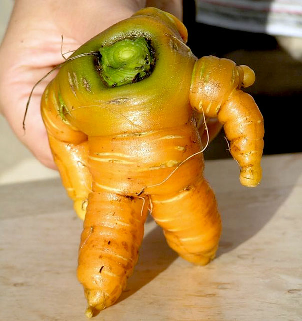funny-shaped-vegetables-fruits-2.jpg