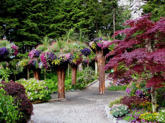 upside-down-tree-flower.jpg