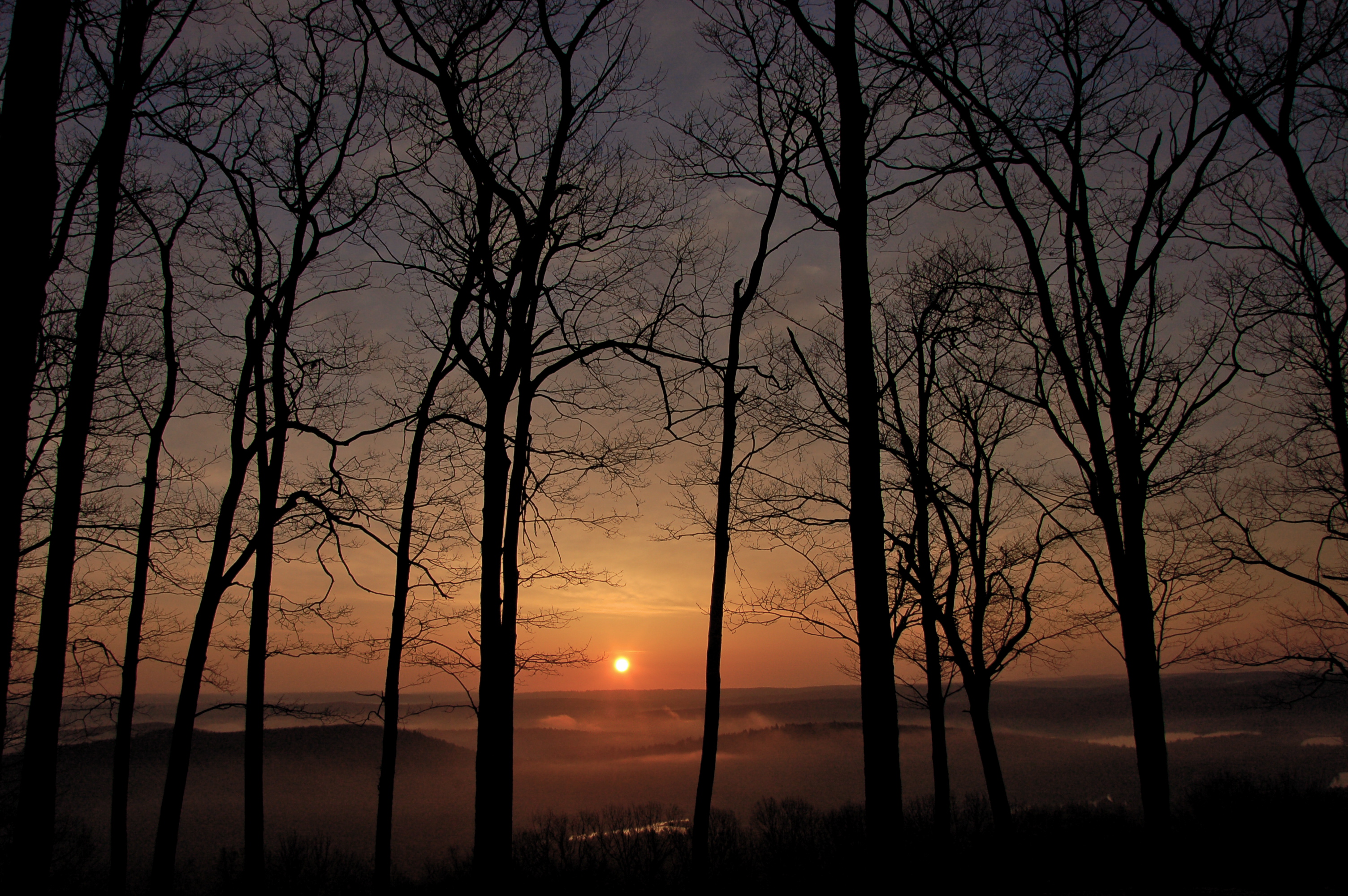 dsc_1568.jpg