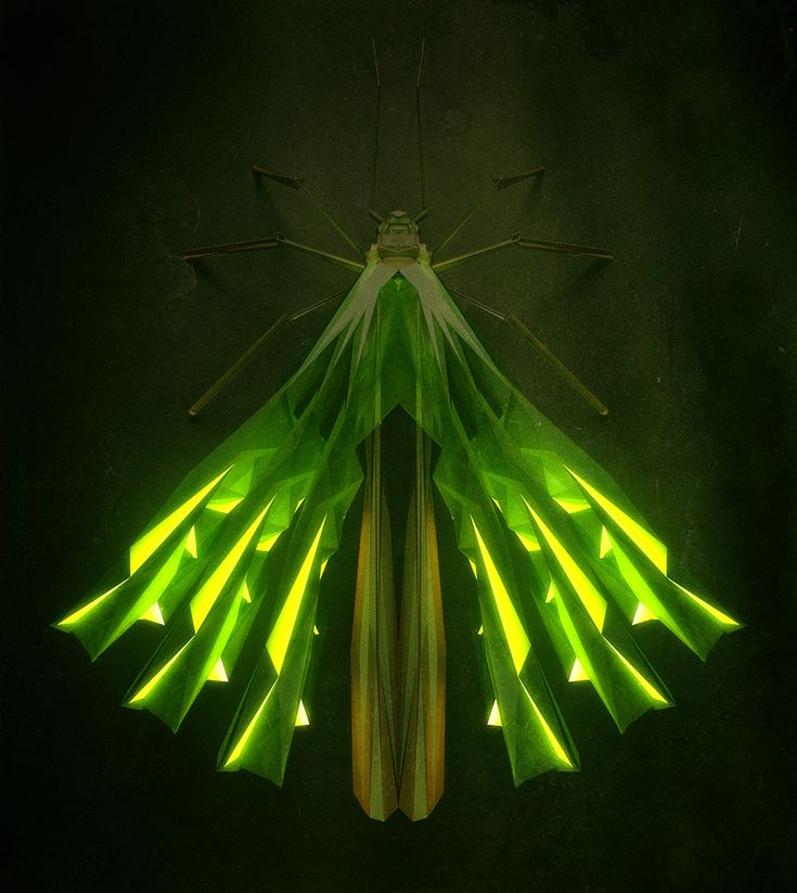 e7f3582c4a80e3a794e5ce34d94f0d3d.jpg