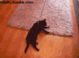 e08ce4229a45e034f005c79ad4db7a16.gif