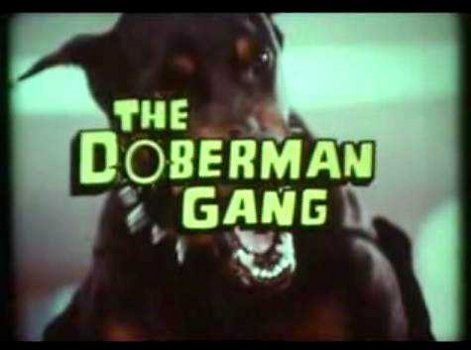1973thedobermangang3.jpg