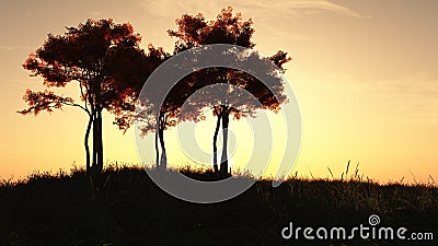 autumn-trees-sunrise-16623271.jpg
