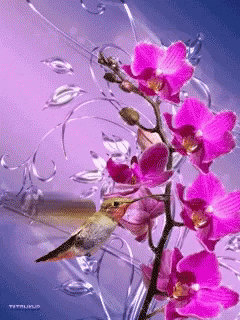 f76736e99432c5a0ca65477f5e83d166.gif