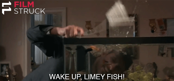 source.gif