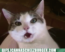 the-most-amazing-thing-ever