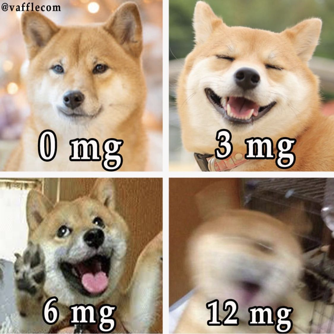 56d5cc73ca482949d5e74040d2f6b09f.jpg