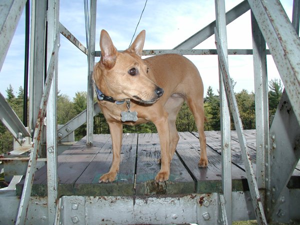 Tower05.JPG