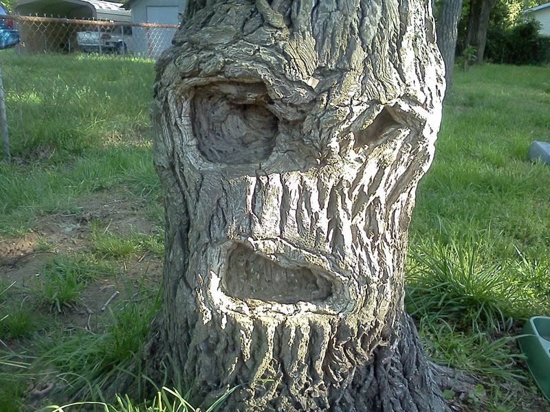 grumpy-tree-get-off-my-lawn.jpg