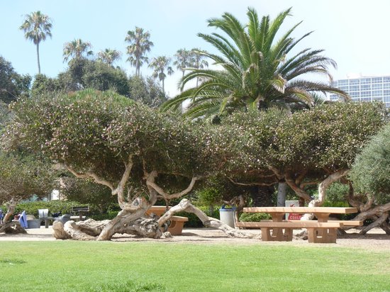 la-jolla-cove.jpg