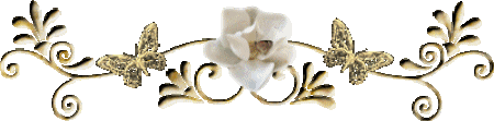 ani-divider-gold.gif