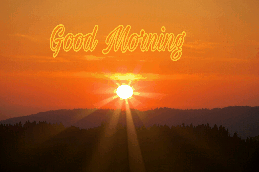 c4365048ce191ee279e987a2974e853b.gif