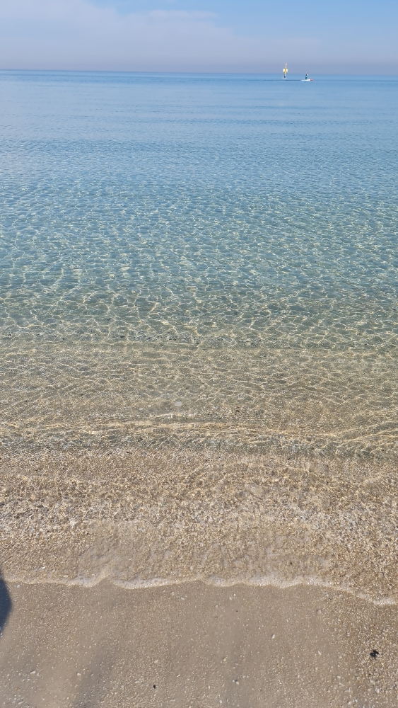 82b39aa3d1ac5e1a9ad49a2853c33797.jpg