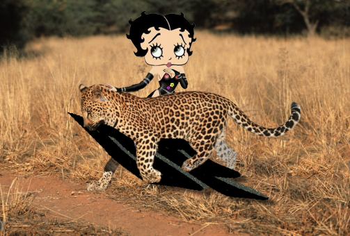 Hsspl6J.png