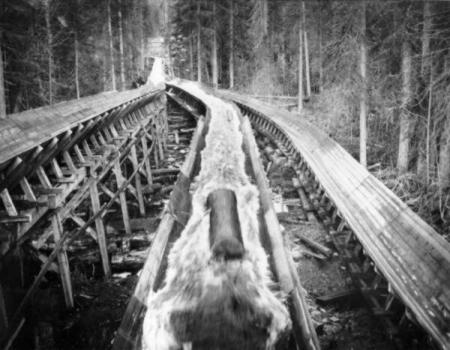 bcflumemed2.jpg
