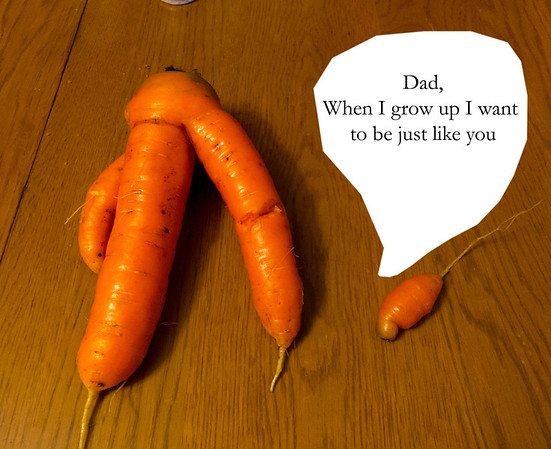 carrot%20dad-M.jpg