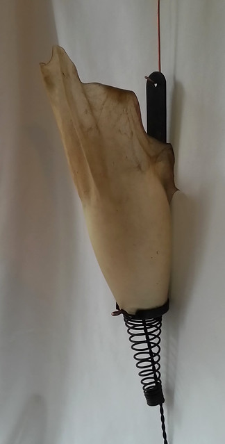 40708193563_52309dab64_z.jpg