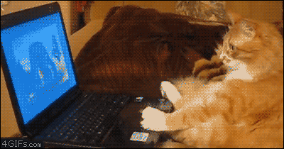 whatever-are-you-watching