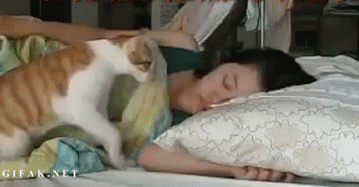 Good+Morning!.gif