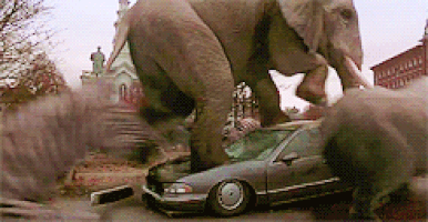 9608081_orig.gif